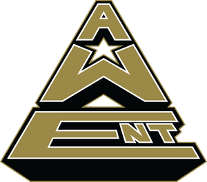 All Wins Ent.com